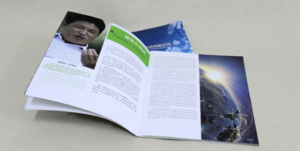 封面燙金燙銀樣本 藝術(shù)紙樣本印刷 內(nèi)頁(yè)藝術(shù)紙(圖2) 封面燙金燙銀樣本 藝術(shù)紙樣本印刷 內(nèi)頁(yè)藝術(shù)紙(圖2)